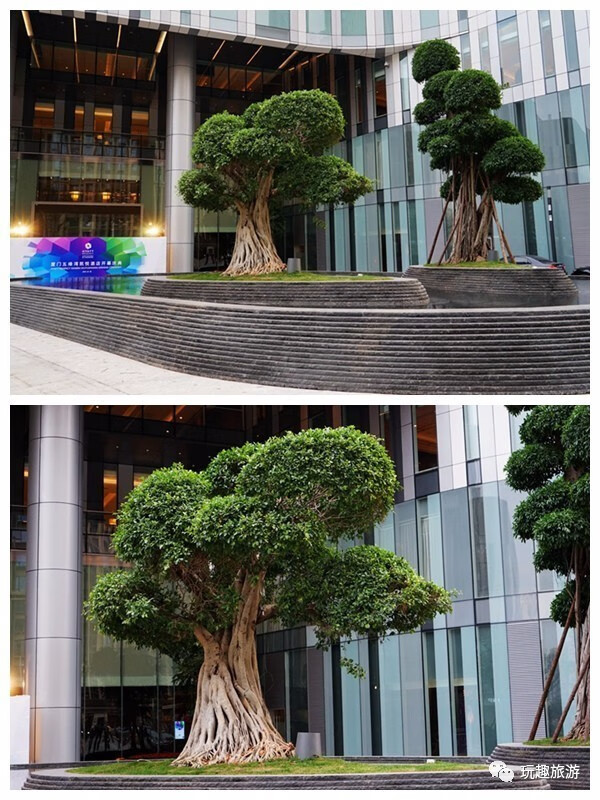 酒店門口的風水池(飯店景觀水池圖片)