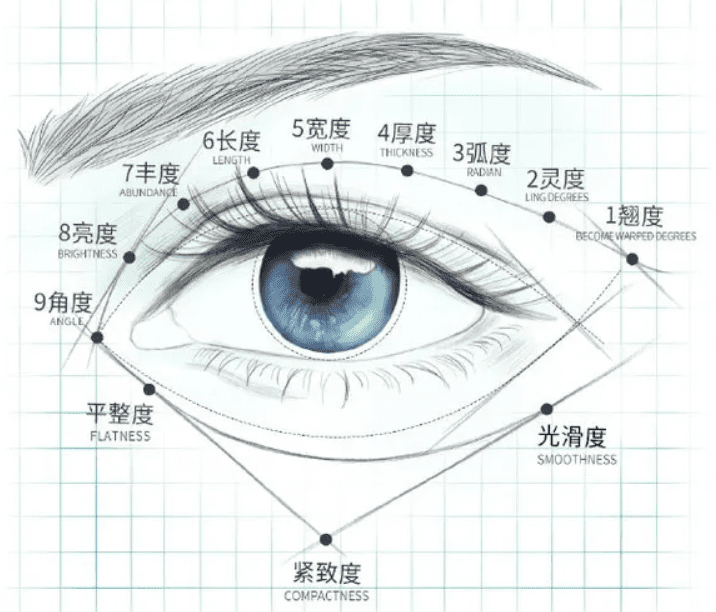 怎么能让眼睛变大?(自然让眼睛变大的方法)