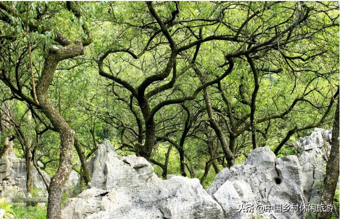 山水风水格局(风水中的山)