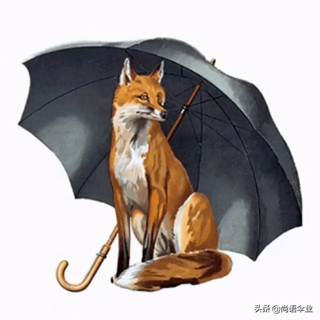 雨伞什么牌子好用(什么牌子的雨伞好用)