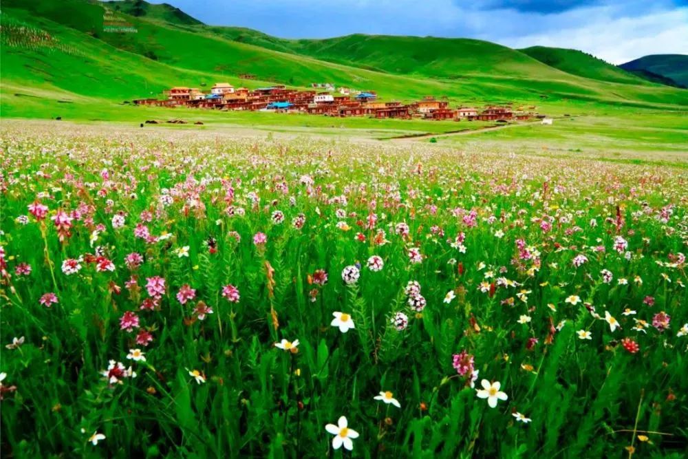 7月份适合去哪里旅游?(七月份自驾游适合去哪里旅游)