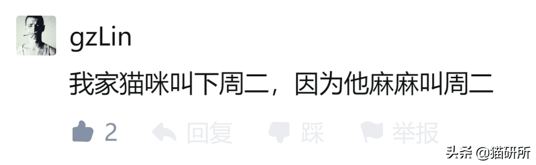 乖乖猪世界30攻略(乖乖猪世界3 15级技能)