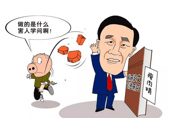 2021年315晚会又见瘦肉精(2021年新年晚会)