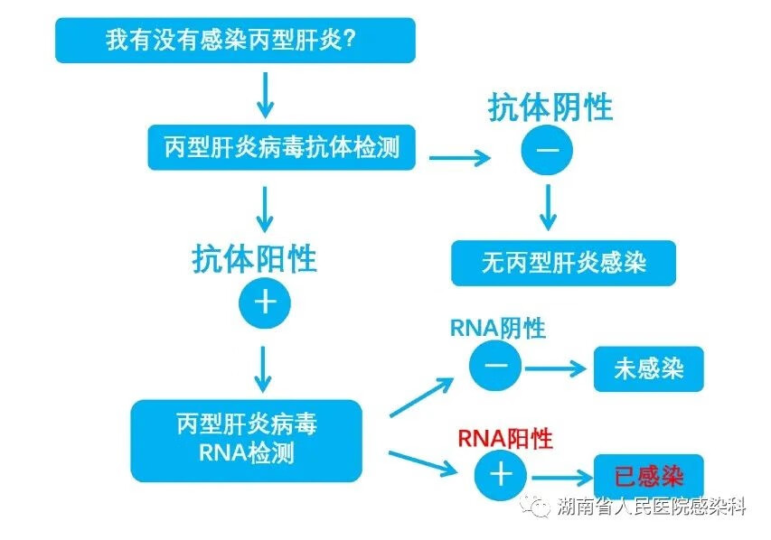 丙肝好治嘛(丙肝严重吗,好不好治疗)