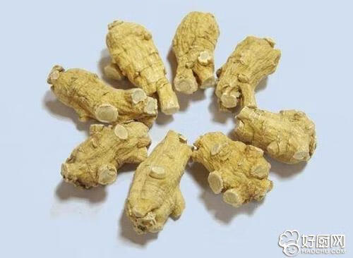 美国花旗参的功效与作用(花旗参的功效与作用禁忌)