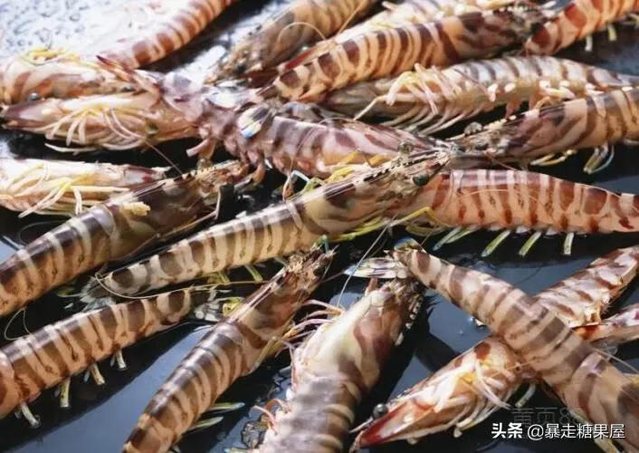 基围虾虾是海虾吗(基围虾到底是什么虾)