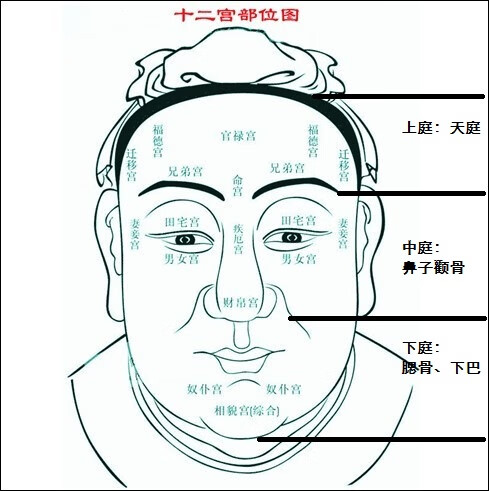 宝宝额头高怎么办(宝宝额头高代表什么)