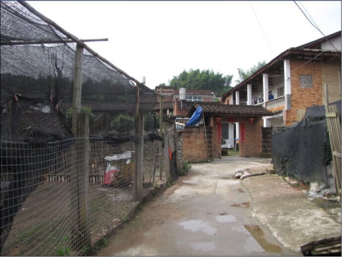 房子前面有房挡住影响风水吗(坟前有房子能挡住风水)