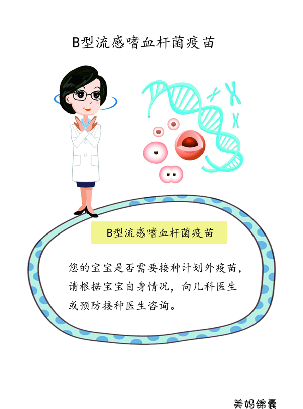 疫苗hib是什么意思(hib免疫疫苗)