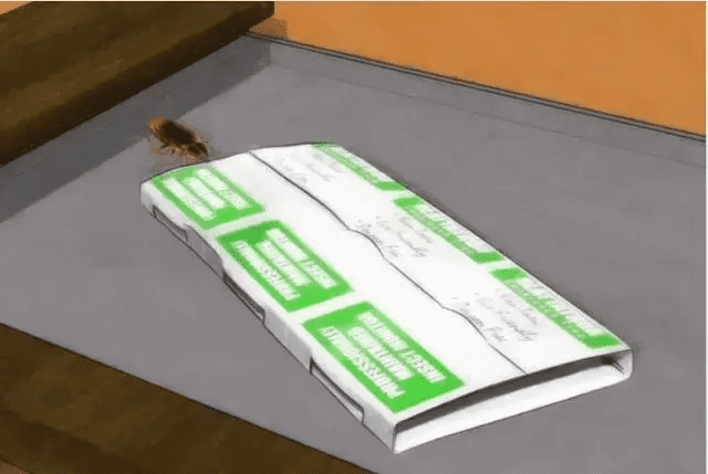 如何灭蟑螂的方法