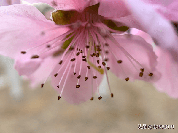 应战书（学生自己写的）