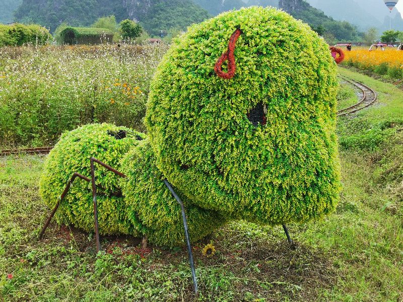 植物保护就业方向(植物保护专业就业的前景)