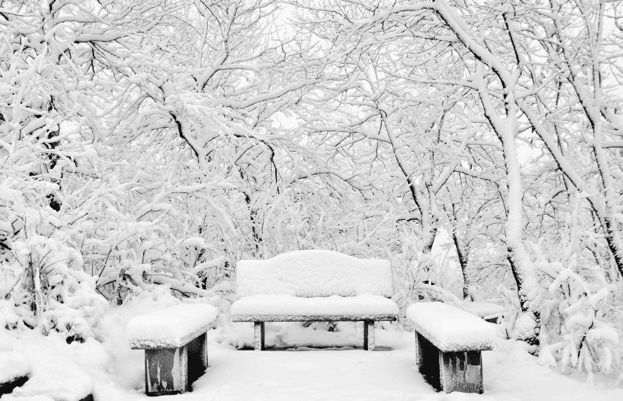 写写雪的古诗(写雪的古诗名句)