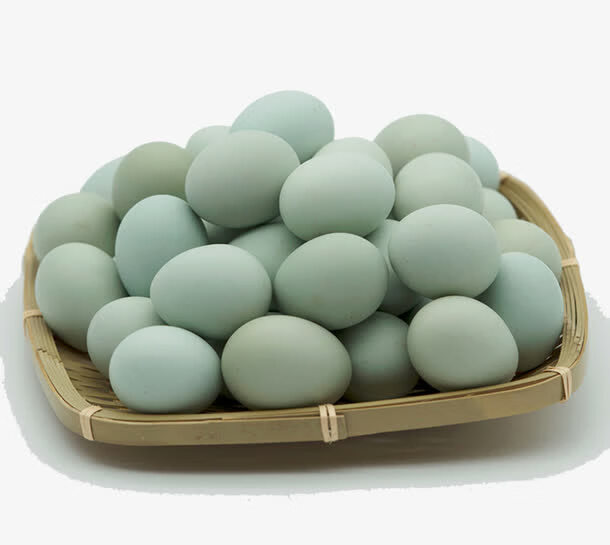 乌鸡蛋是什么颜色(假乌鸡蛋图片)