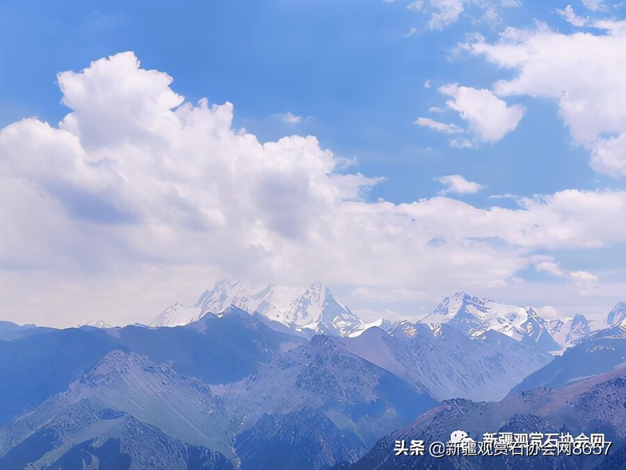 马牙是什么意思(什么是马牙)
