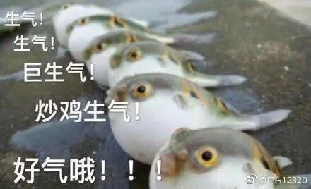 河豚毒素(河豚中毒多久发作)