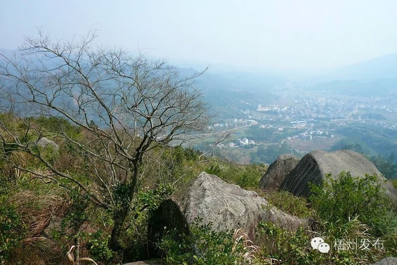 岑溪清華北大學生風水(清華北大誰是第一)