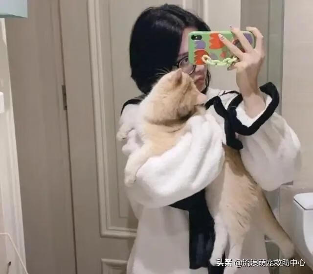 12315可以投诉交易猫吗(交易猫卖家被申诉)