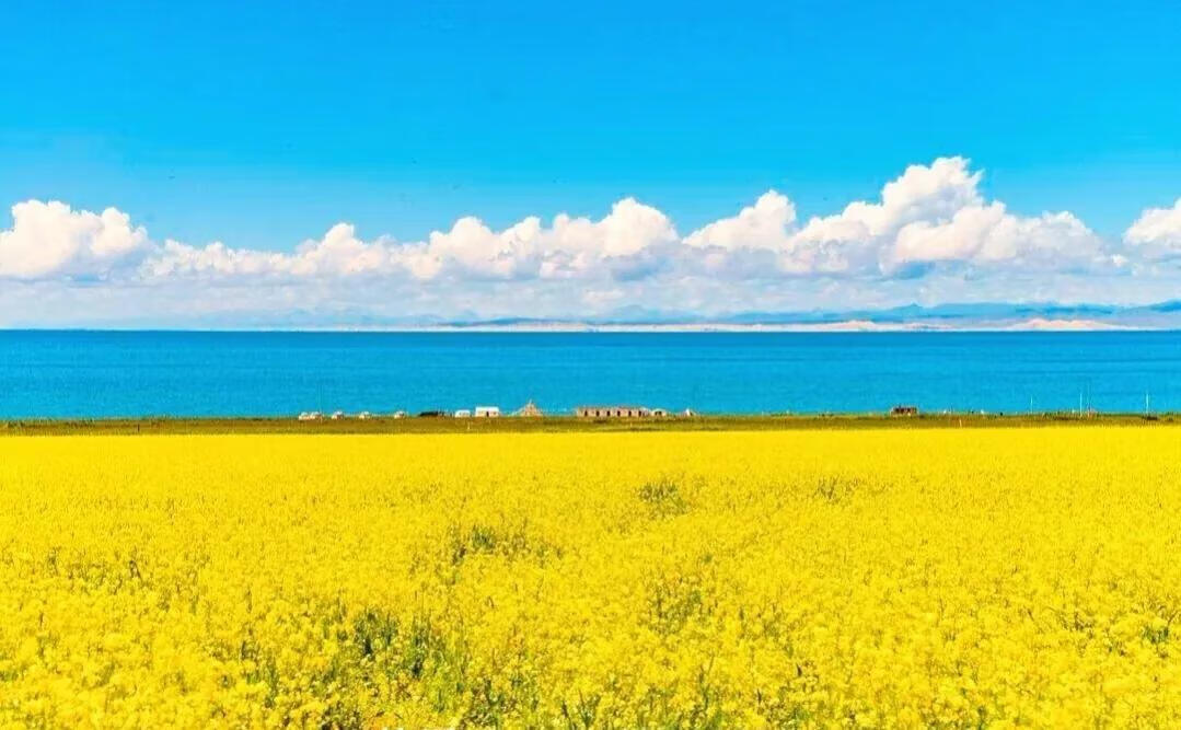 8月份去哪里旅游最合适(8月适合游玩的城市)