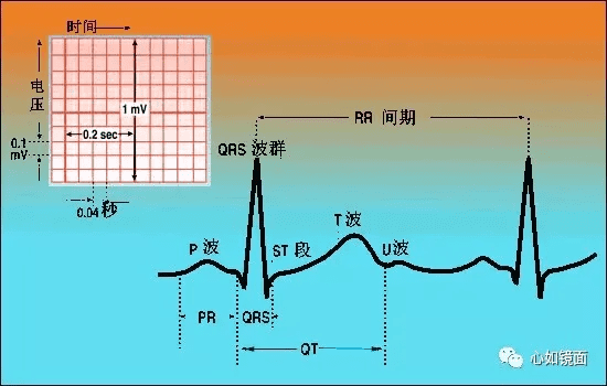 心电图导联位置(心电图导联的位置图片)