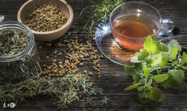 养生花草茶品牌(养生花草茶的配方和功效)