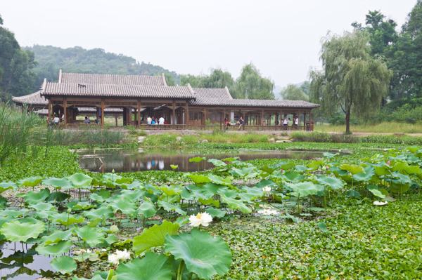 地質與風水的關係(風水和地理有關係嗎)-百科學社