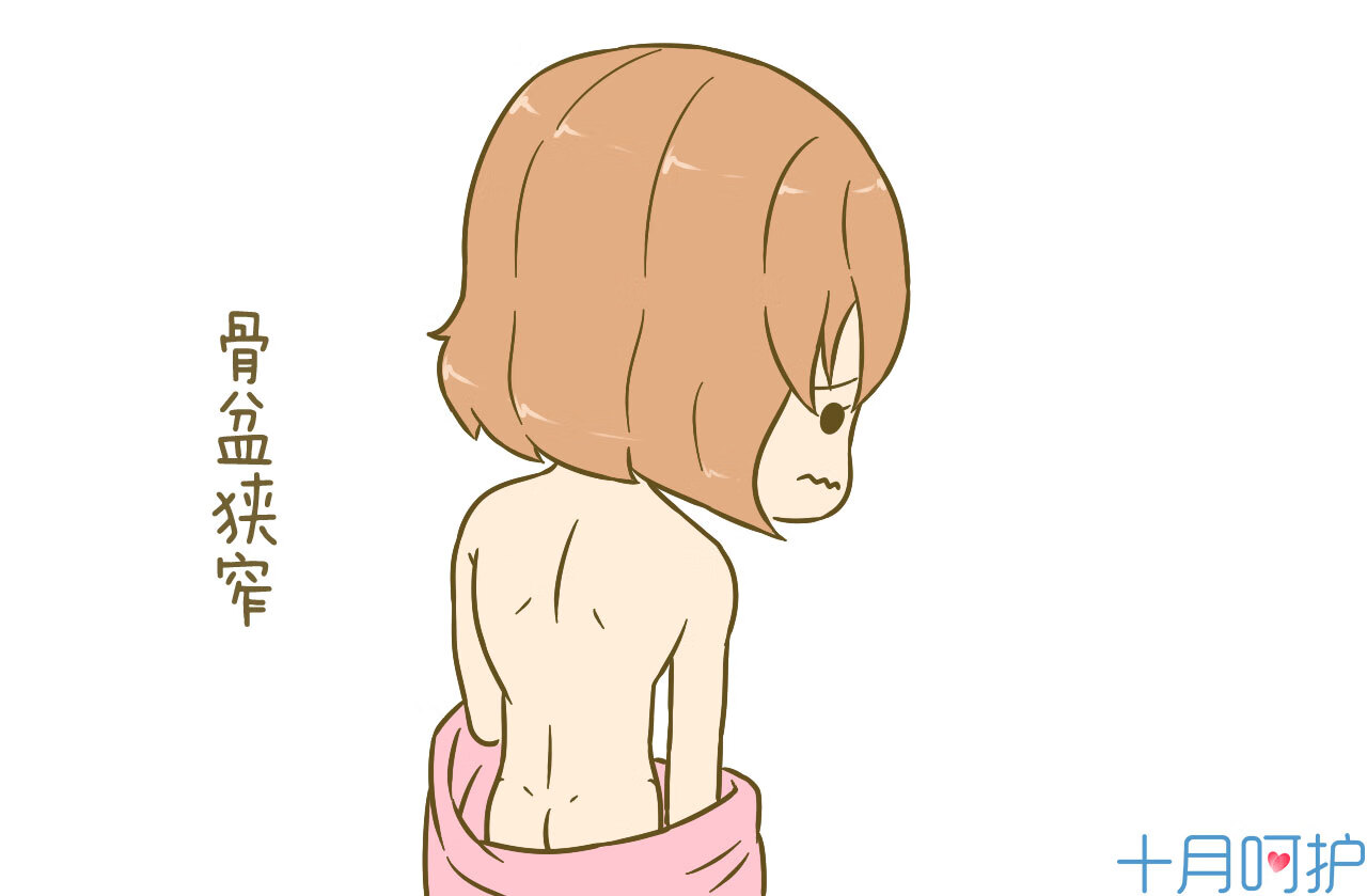 一般入盆后多久会生