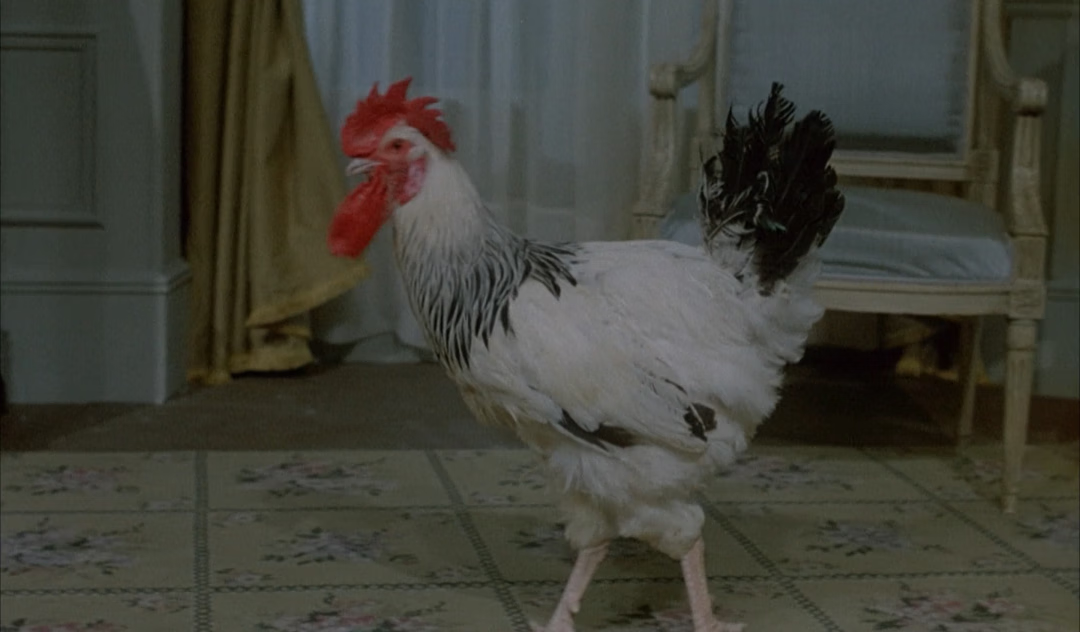 一,我无话可说,只能阴阳怪气