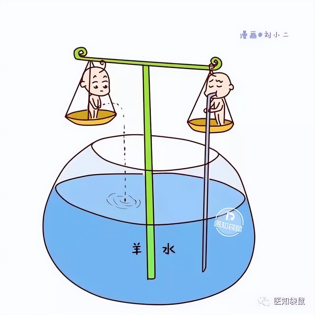怀孕5个月胎儿图片(五个月胎儿图片 有多大)