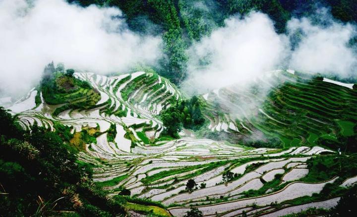 李凤风水大师(河南刘凤山)