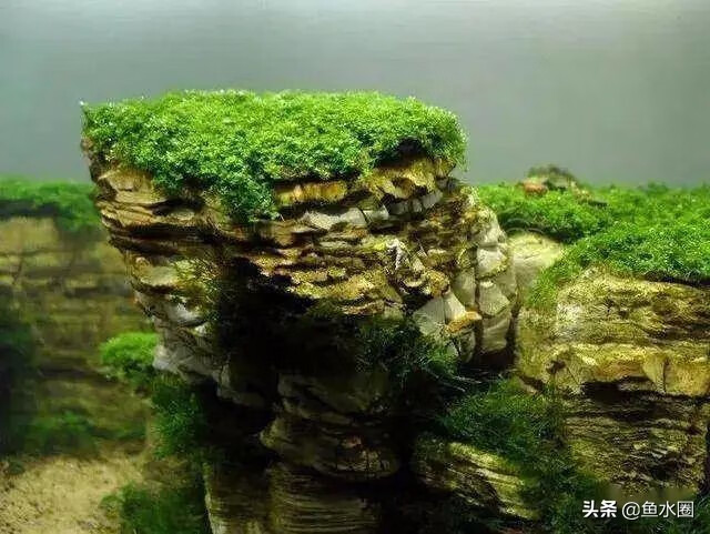 鱼缸造景石材大全石景鱼缸造景