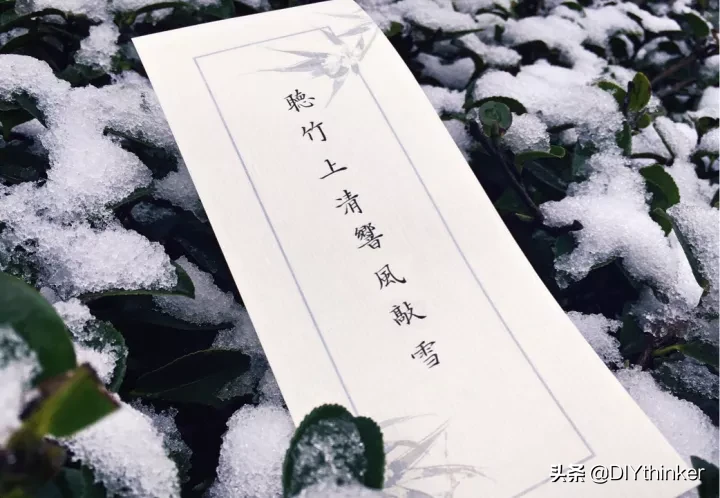 关于雪的文章摘抄(描写雪的短文)