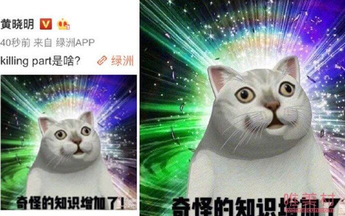 killingpart翻译(killingpart的同义词)