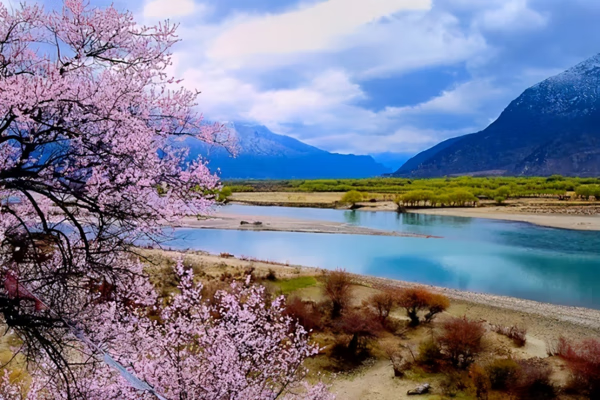 三月份去哪里旅游好呢(三月份去哪里旅游好玩又便宜)