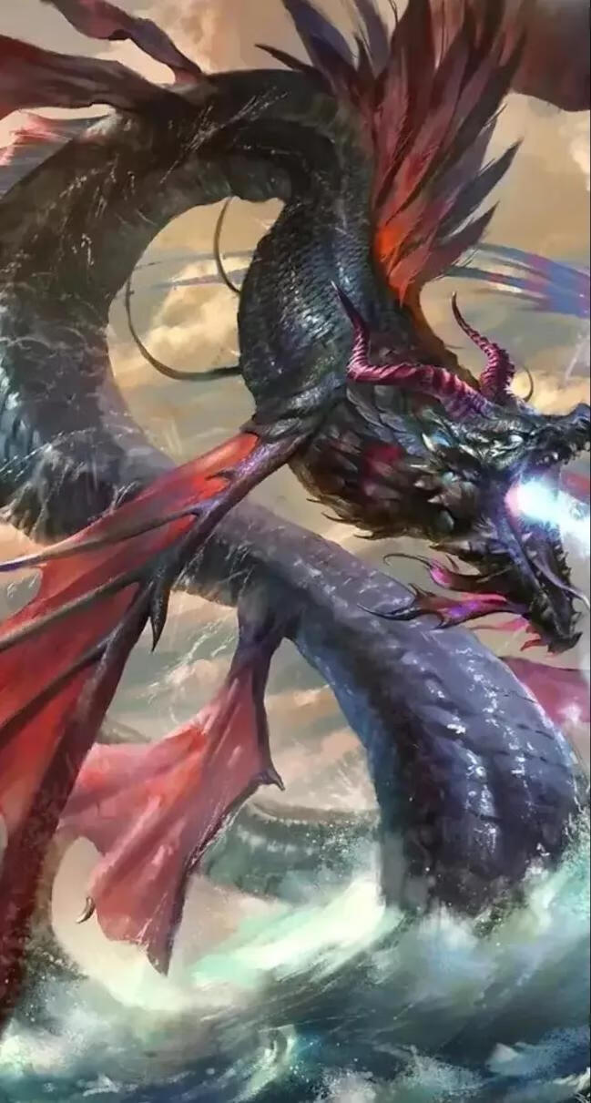 风水龙的图片(海贼王龙马图片)