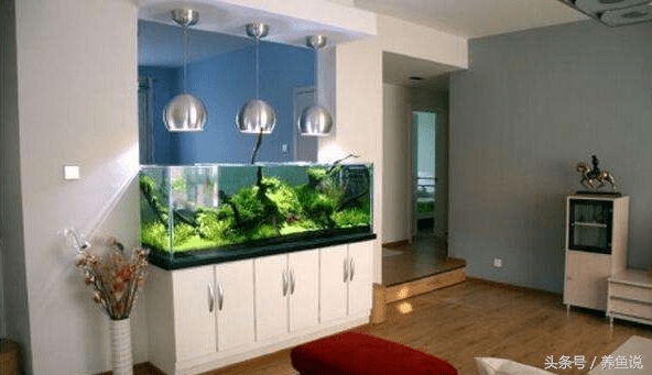 入户门正对鱼缸风水(鱼缸正对入户门怎么化解)