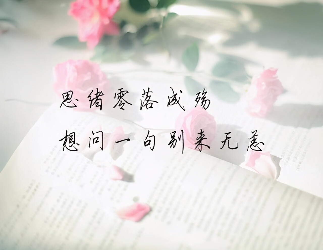 315爱情含义是什么意思(315在爱情里是啥意思)