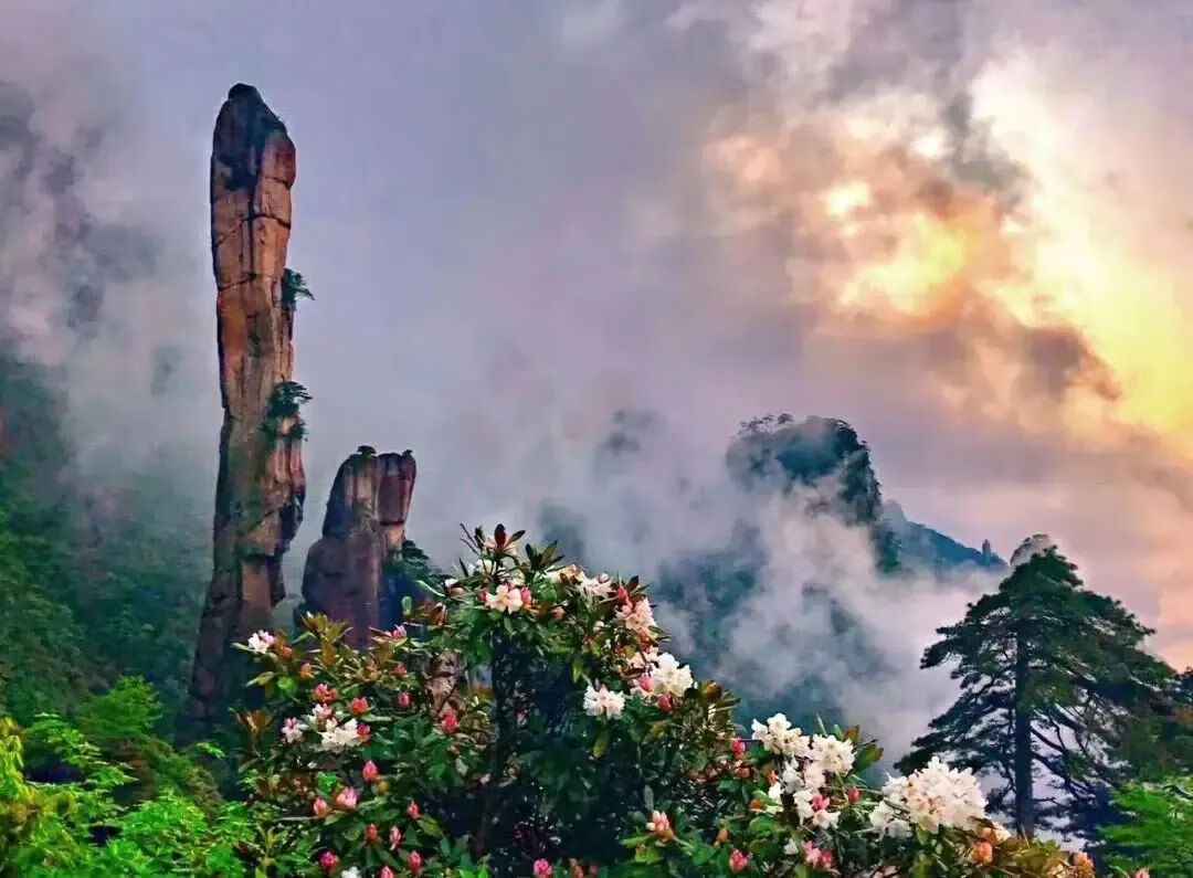7月份适合去哪里旅游?(七月份自驾游适合去哪里旅游)