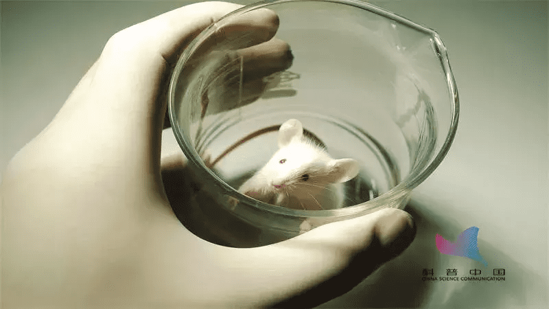 生物钟(24小时人体生物钟作息时间表)