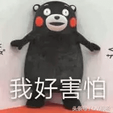 囊虫病(蝇蛆病)