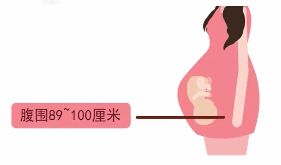 怀孕6个月的肚子多大(孕6个月肚子多大标准图)