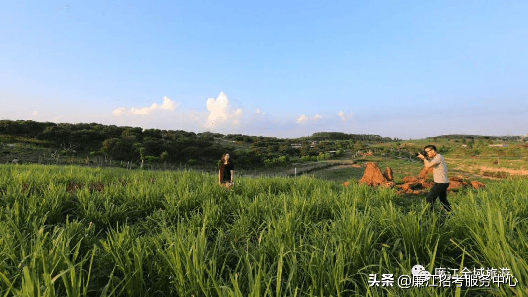 廉江市风水宝地(廉江附近的风水宝地)