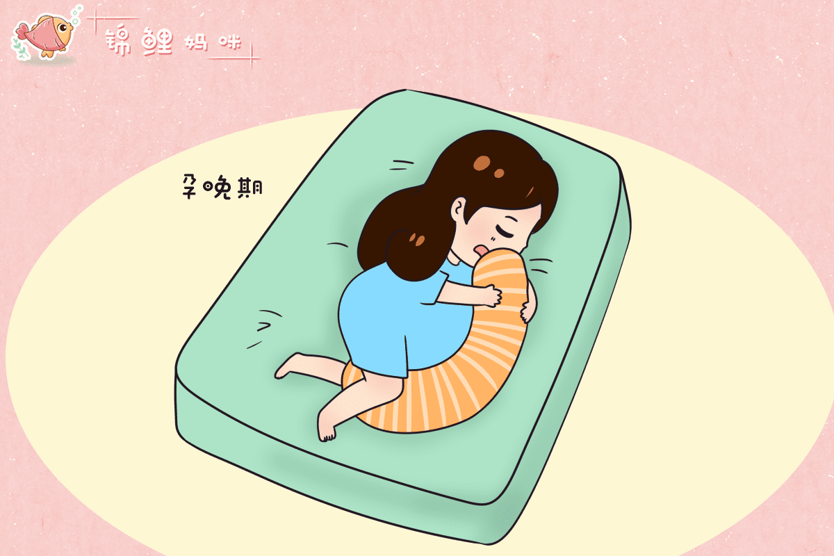 孕妇睡觉的正确姿态图解(孕妇睡姿正确方法)
