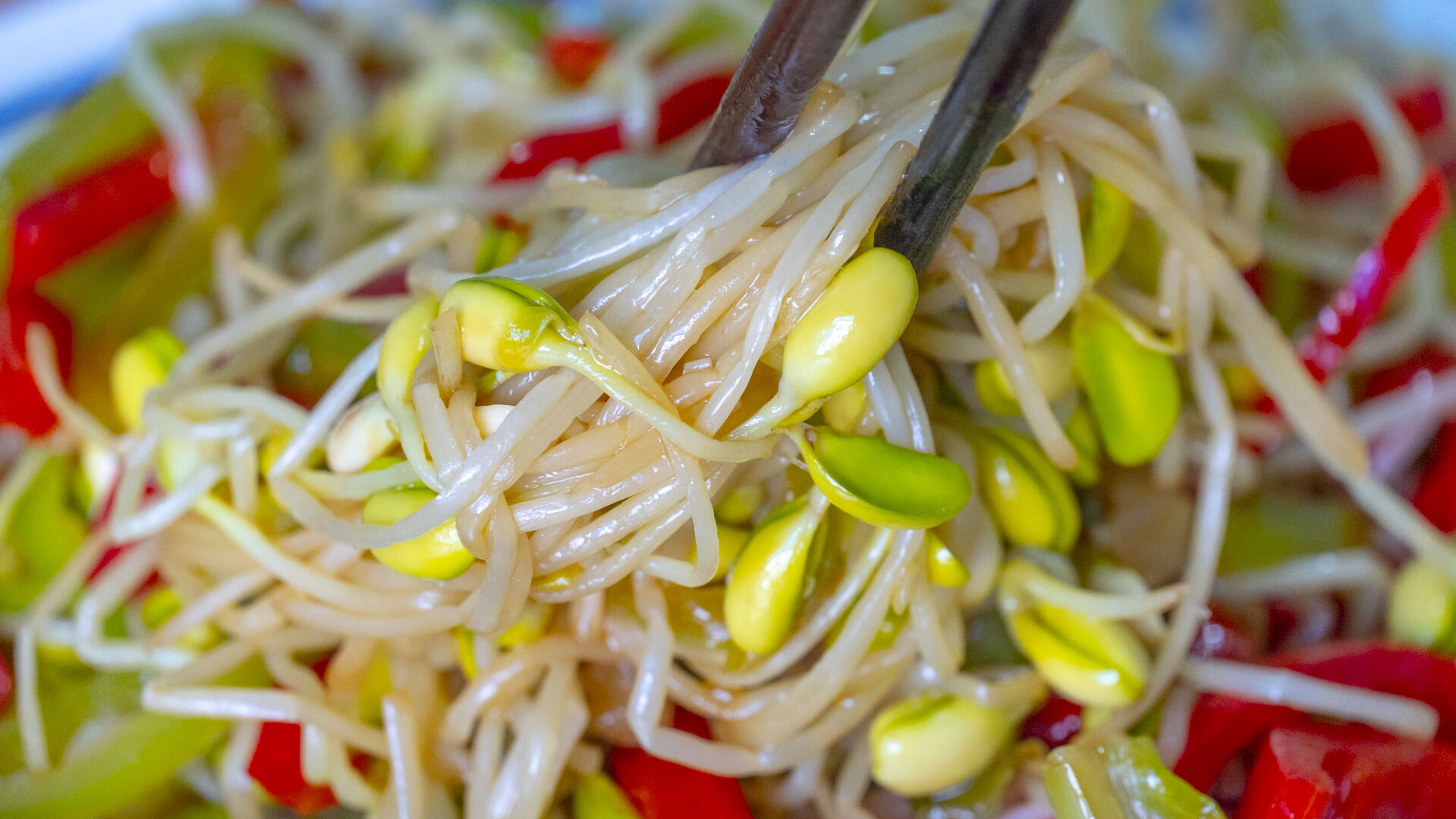 豆芽製作方法(豆芽的家常做法大全)