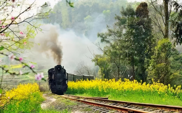 三月份去哪里旅游好呢(三月份去哪里旅游好玩又便宜)