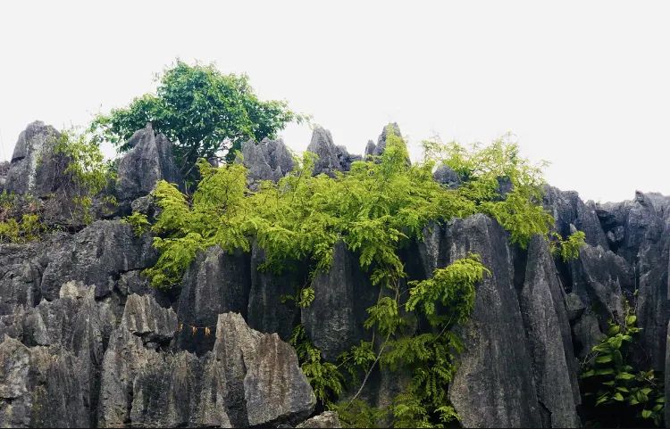 留题风水地广西富川(广西宜州留题风水)