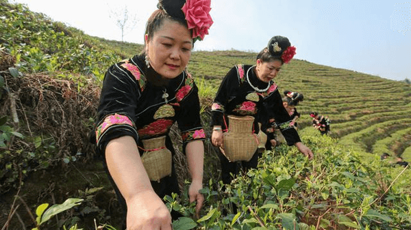 这几个专业有一点冷门，但就业却比较不错，适合中等成绩考生报考