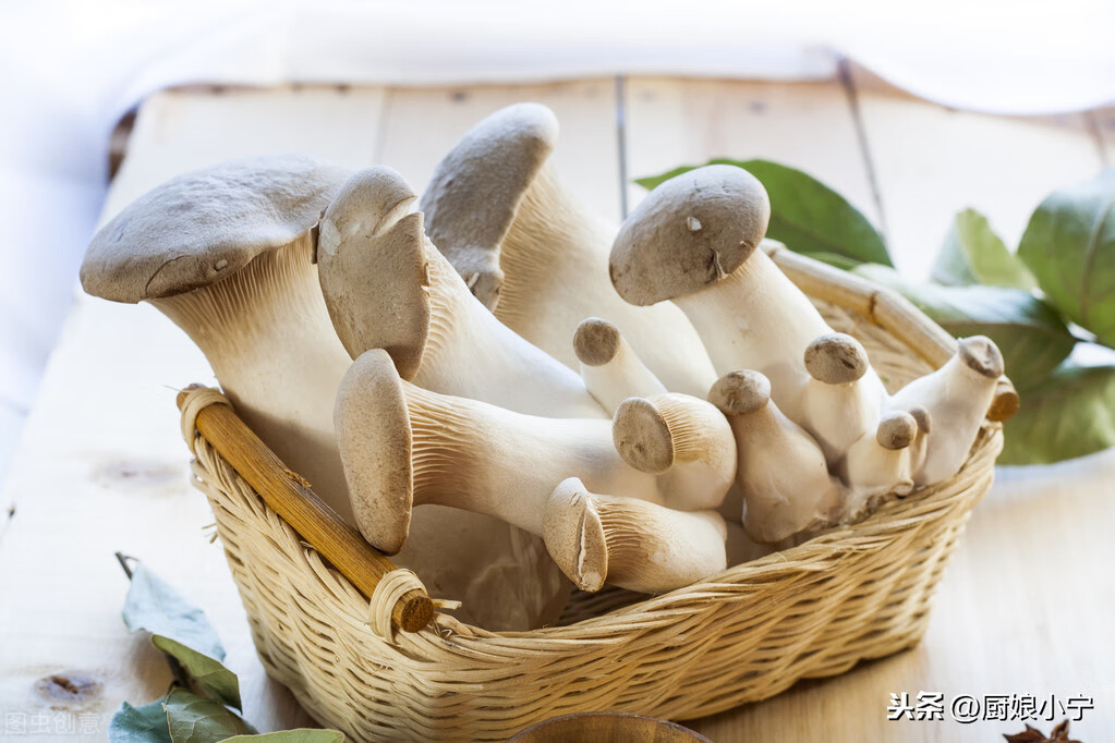 各种蘑菇的做法大全(蘑菇的家常做法有哪些)