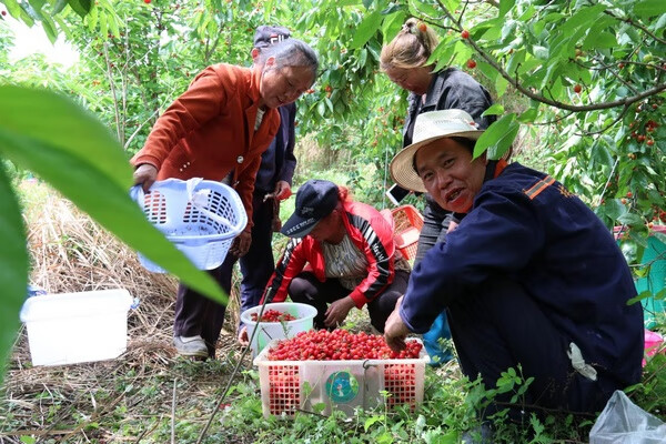 房子前面有条三叉河好不好(房子冲河风水好不好)