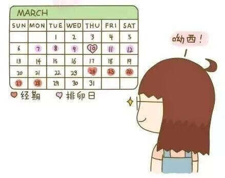 排卵期怎么算的(排卵期是什么时候怎么算)